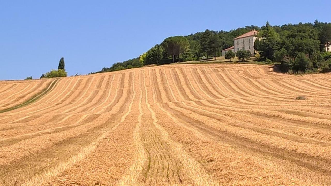 La Maison De Maitre Sainte-Livrade-sur-Lot Exteriör bild